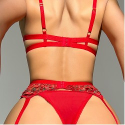 Cross -border supply European and American sexy underwear sexy female lace embroidery gathered seductive bras underwear suits wholesale