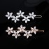 Japan and South Korea hair jewelry daily versatile temperament back of the head hair card metal frog clip crystal vermiculite hairpin side clip