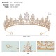 European and American new vermiculite bride Crown Birthday Dance Beauty Plicong Show Head Glot Luxury Squading Princess Crown