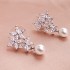 Japanese and Korean fashion niche high -level ear ring women's new light luxury temperament pearl earrings daily versatile vermiculite earrings