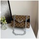 Korean version of the underarms 2024 new texture fashion letters printing handbag Personal shoulder mesengers small bag