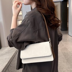 New Chinese -style French Bag Girl 2024 New Tide Advanced Sensors Popular Performing Person Crossbody Bag