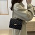 Niche design diamond chain bag female 2024 autumn new high -end sensing bag female shoulder messenger small square bag