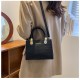 Texture bag female 2024 new fashion versatile INS shoulder bag stone pattern simple foreign qi cross -border handbag