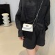 Chain Personal Classes Little Bag Female 2024 Autumn New Korean Simple Blinding Bags Fashion Western Shoulder Bags