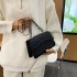 Drindic shoulder bag 2024 new chain women's bag high -level sensor bag Korean fashion versatile female small bag