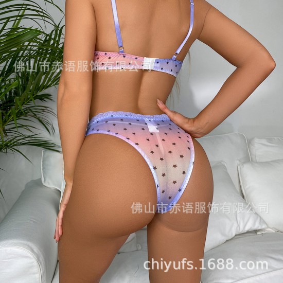 2 pieces of gradient transparent printing net yarn bra, European and American INS three -point sex lingerie independent station wholesale