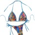 European and American cross -border overseas trade sexy Bikini swimsuit 2024 new seaside beach printing split swimsuit speed sales