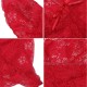 Interests of underwear European and American jackets deep V lace bow sexy large size, sexy pajamas women's transparent temptation