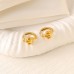 Zircon Diamond-studded stainless steel hoop earring chain