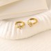 Zircon Diamond-studded stainless steel hoop earring chain