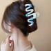 Low Price Clearance Hairpin South Korea Simple Commuter All-match Grab Clip Niche High-end Head Shark Clip Hair Accessories for Women