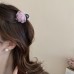 Low Price Clearance Hairpin South Korea Simple Commuter All-match Grab Clip Niche High-end Head Shark Clip Hair Accessories for Women