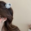 Low Price Clearance Hairpin South Korea Simple Commuter All-match Grab Clip Niche High-end Head Shark Clip Hair Accessories for Women