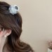 Low Price Clearance Hairpin South Korea Simple Commuter All-match Grab Clip Niche High-end Head Shark Clip Hair Accessories for Women