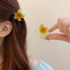 Low Price Clearance Hairpin South Korea Simple Commuter All-match Grab Clip Niche High-end Head Shark Clip Hair Accessories for Women