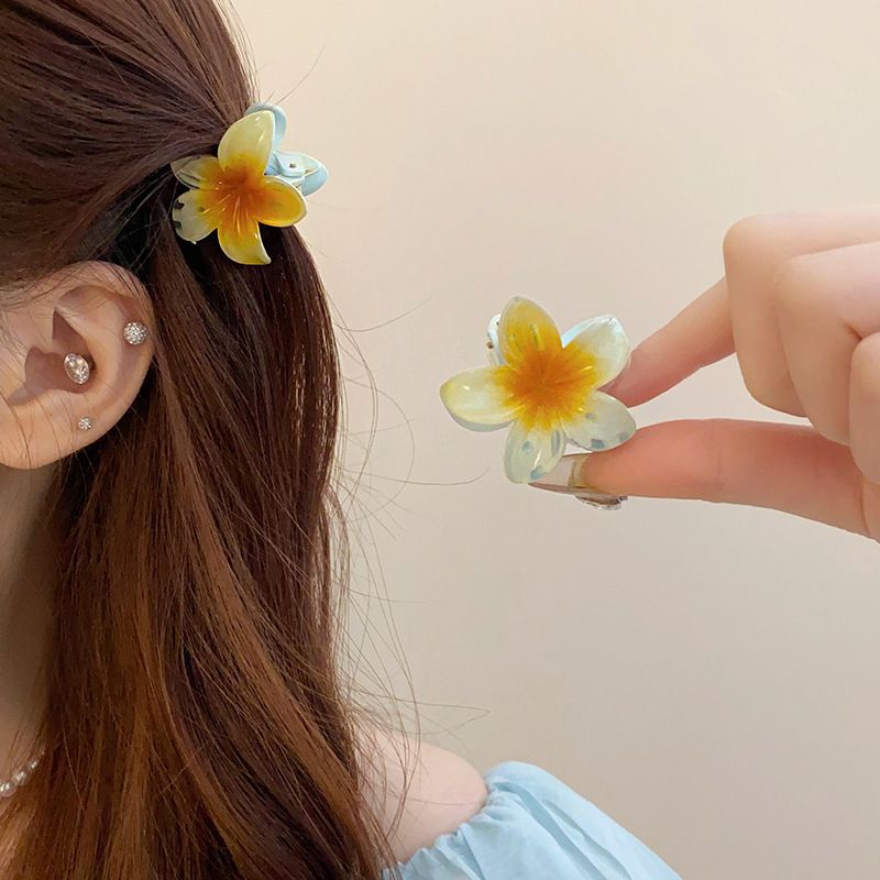 Low Price Clearance Hairpin South Korea Simple Commuter All-match Grab Clip Niche High-end Head Shark Clip Hair Accessories for Women