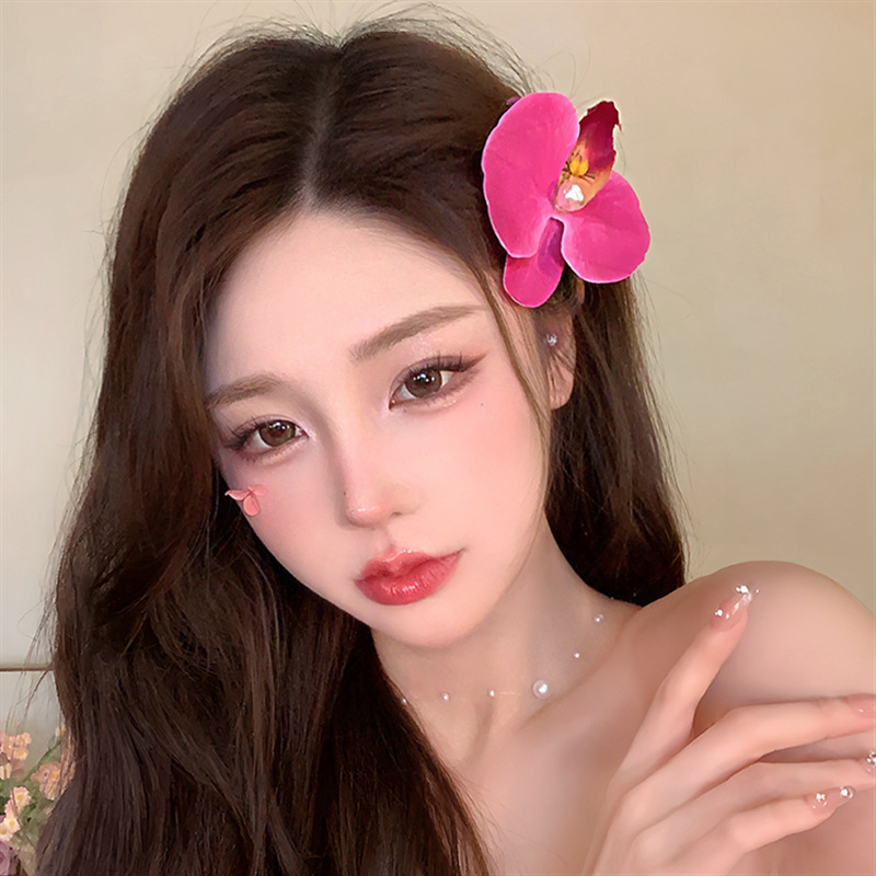 Low Price Clearance Hairpin South Korea Simple Commuter All-match Grab Clip Niche High-end Head Shark Clip Hair Accessories for Women