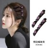 Hairpin with Braided Hair, Side Bangs Texture, Broken Hair, Duckbill Hairpin, Hairband, Internet Celebrity Clip, Headwear Wholesale