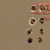 European and American Cross-border Long Wheat Ears Flowers Leaves Tassel Earrings Cold Style Elegant Earrings Light Luxury High-end Earrings